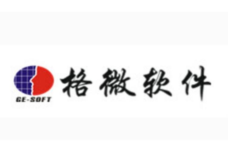 沈陽格微軟件 深耕行業(yè)，以技術(shù)驅(qū)動數(shù)字化轉(zhuǎn)型